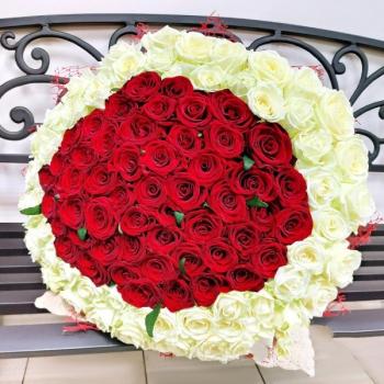 Букет 101 красно-белая роза код   164024