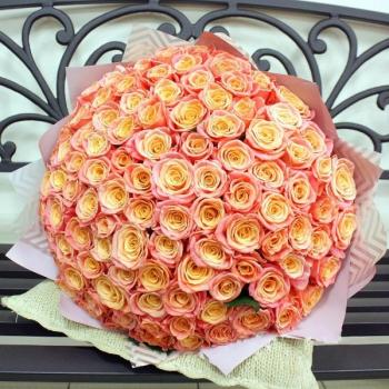 Букет Оранжевые розы Эквадор 101 шт (50 см) articul  167216