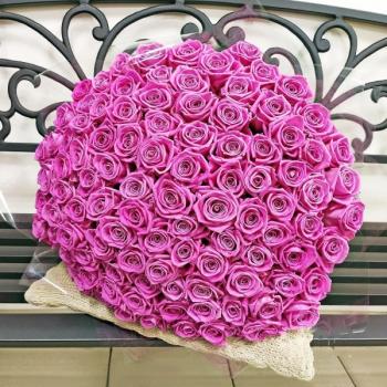 Букет Розовые розы Эквадор 101 шт (50 см) №  167104